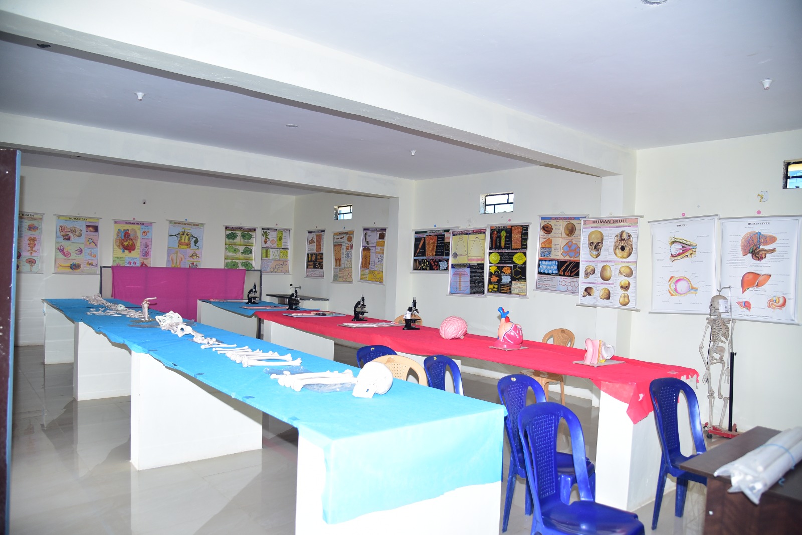 Sports Complex